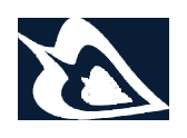 Evolution Coaching Academy logo